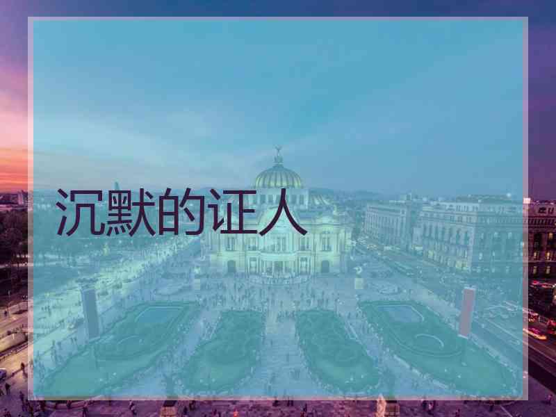 沉默的证人