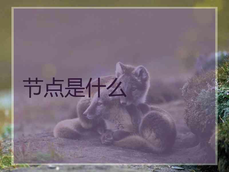 节点是什么