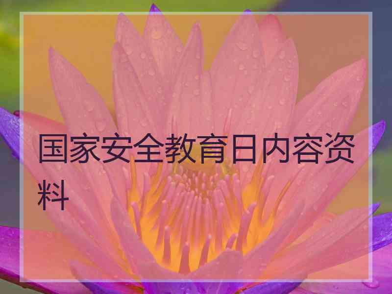 国家安全教育日内容资料