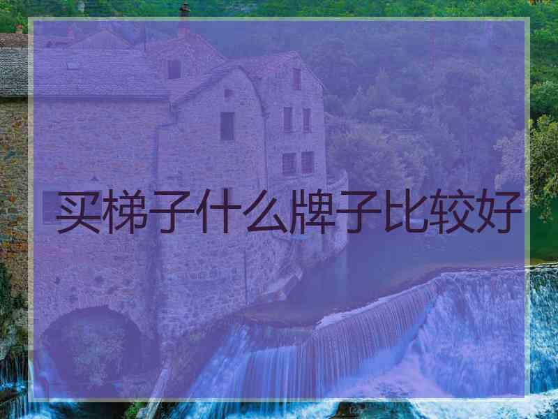 买梯子什么牌子比较好