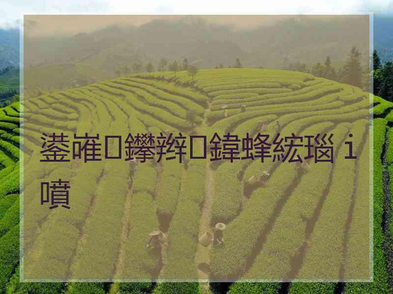 鍙嶉鑻辫鍏蜂綋瑙ｉ噴