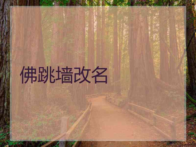 佛跳墙改名