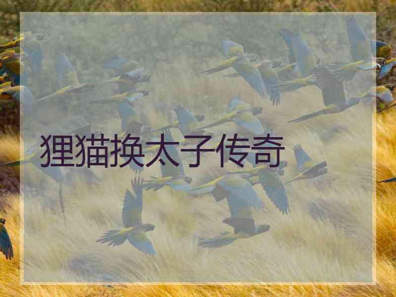 狸猫换太子传奇