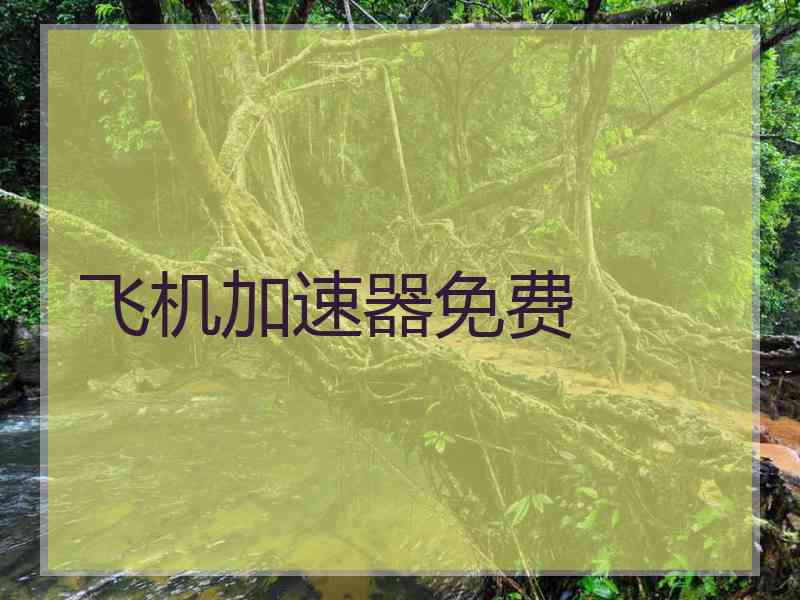 飞机加速器免费