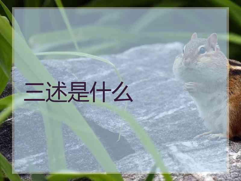 三述是什么