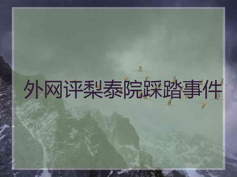 外网评梨泰院踩踏事件