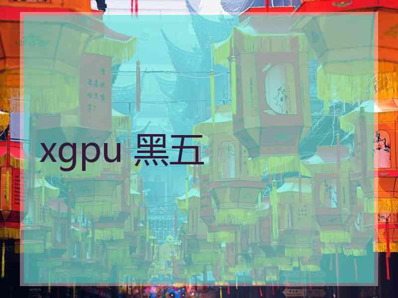 xgpu 黑五