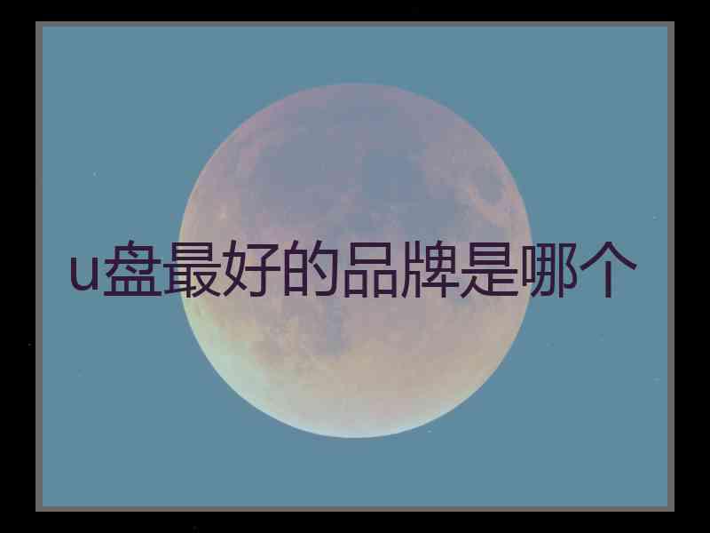 u盘最好的品牌是哪个