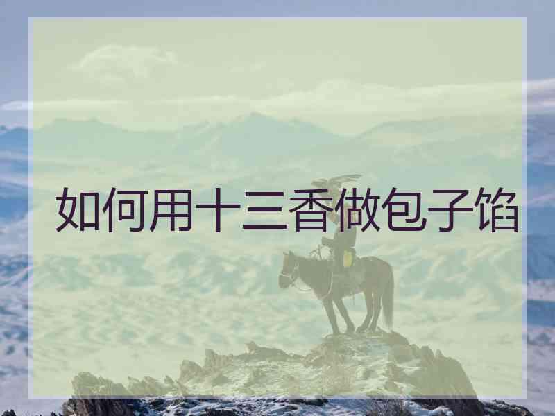 如何用十三香做包子馅