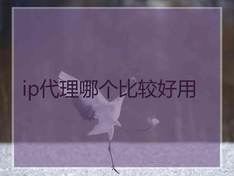 ip代理哪个比较好用