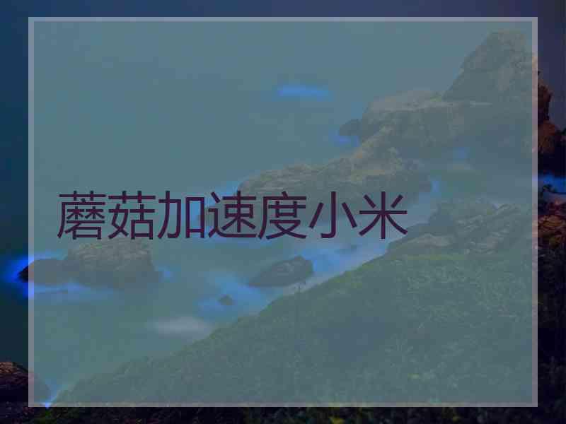 蘑菇加速度小米