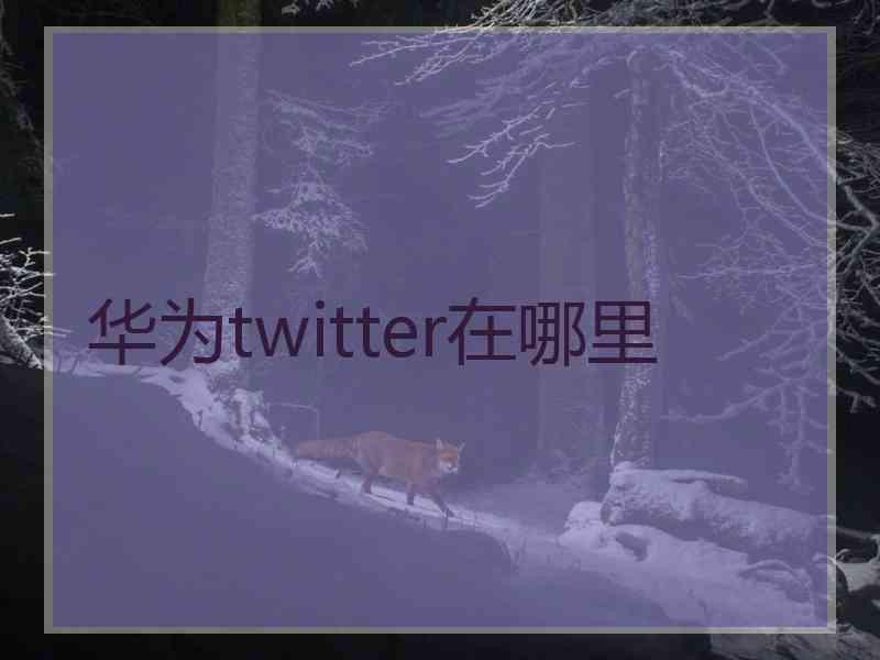 华为twitter在哪里