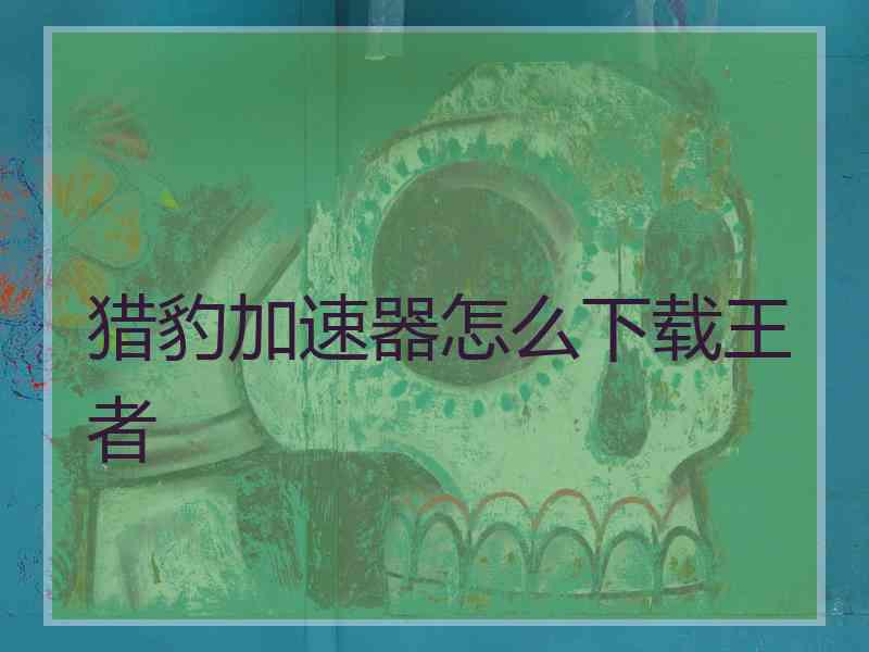 猎豹加速器怎么下载王者