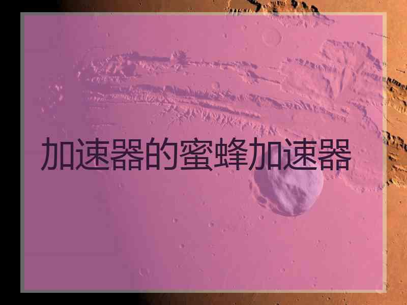 加速器的蜜蜂加速器
