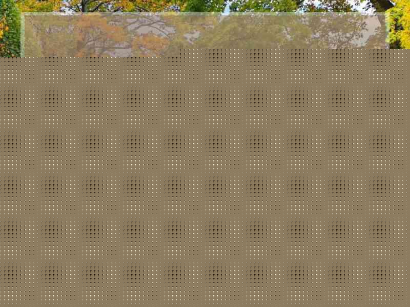 微信头像简约干净阳光治愈女生