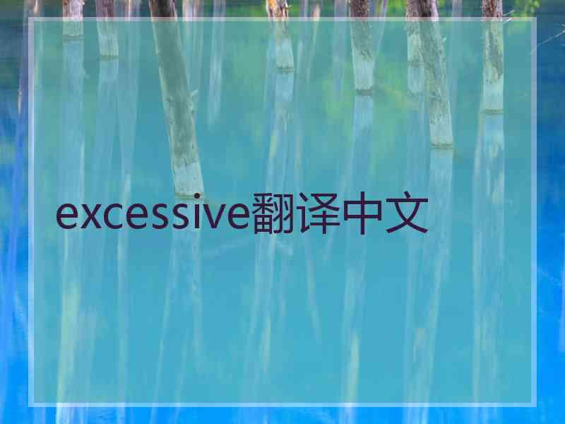 excessive翻译中文