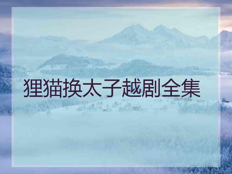 狸猫换太子越剧全集