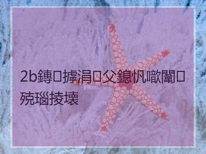 2b鏄摢涓父鎴忛噷闈㈢殑瑙掕壊