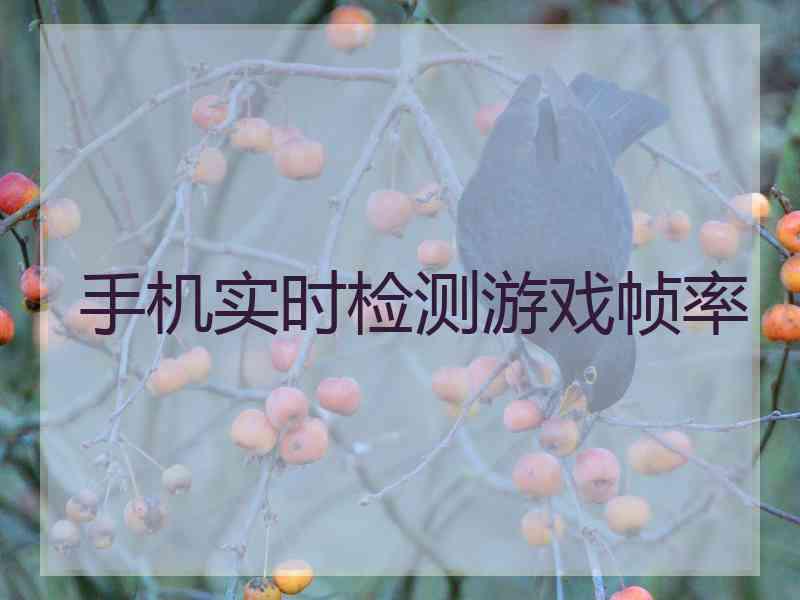 手机实时检测游戏帧率