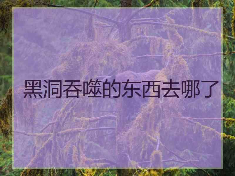 黑洞吞噬的东西去哪了