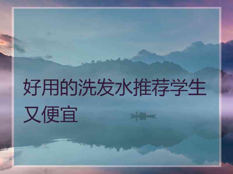 好用的洗发水推荐学生又便宜