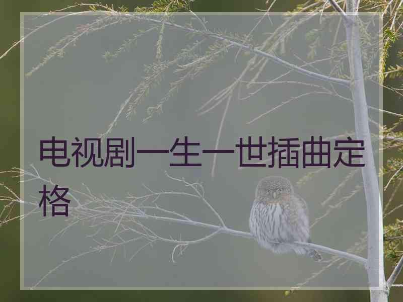 电视剧一生一世插曲定格