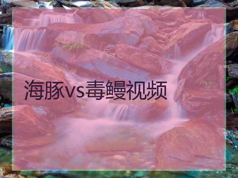 海豚vs毒鳗视频