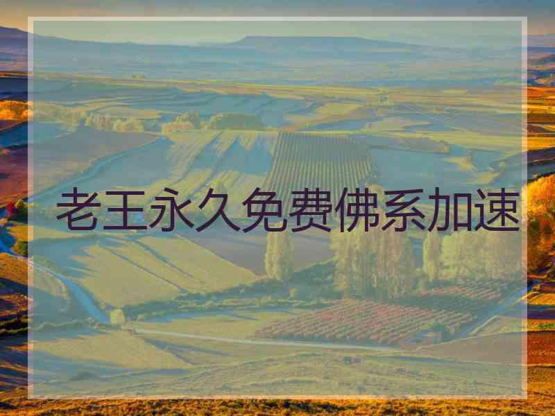 老王永久免费佛系加速