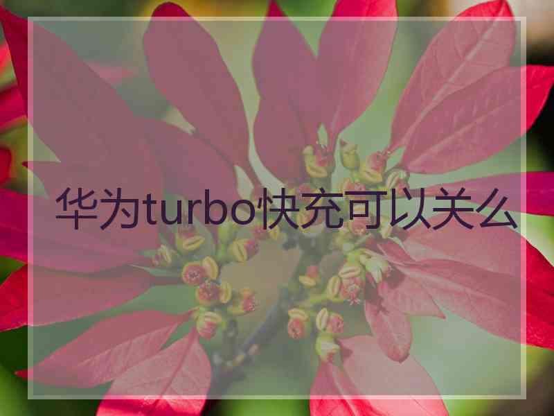 华为turbo快充可以关么