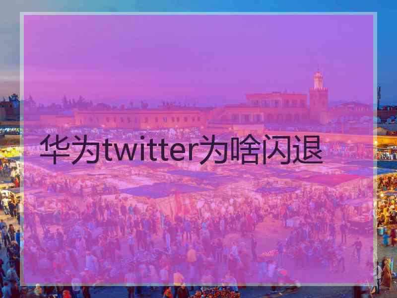 华为twitter为啥闪退