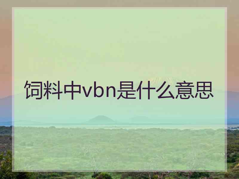 饲料中vbn是什么意思