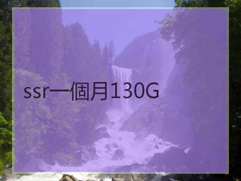 ssr一個月130G