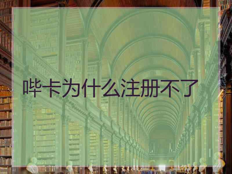 哔卡为什么注册不了