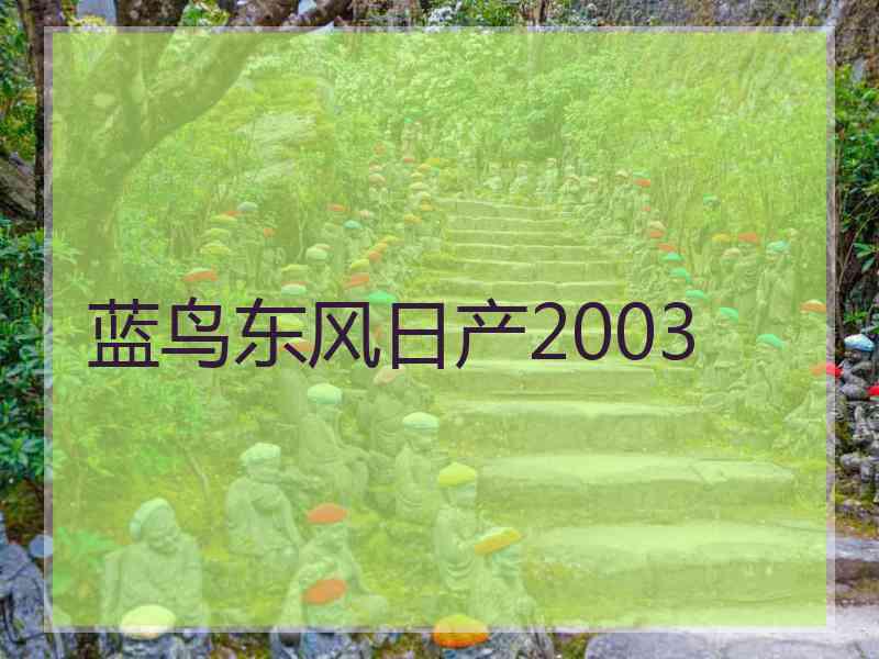 蓝鸟东风日产2003