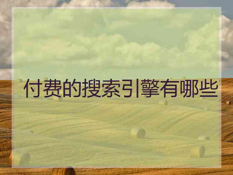 付费的搜索引擎有哪些
