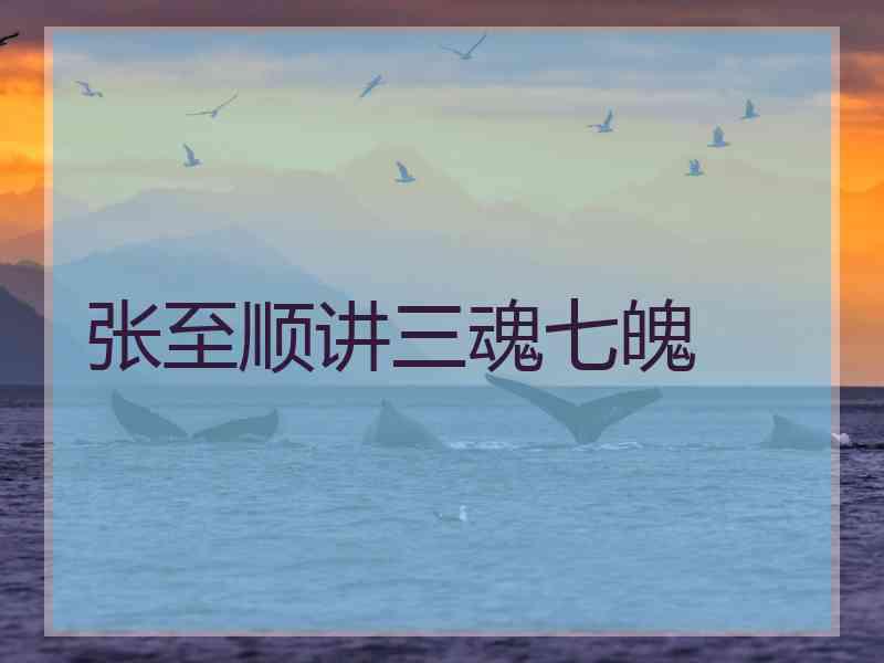 张至顺讲三魂七魄