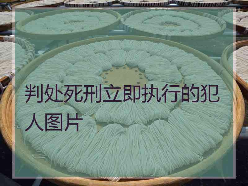 判处死刑立即执行的犯人图片
