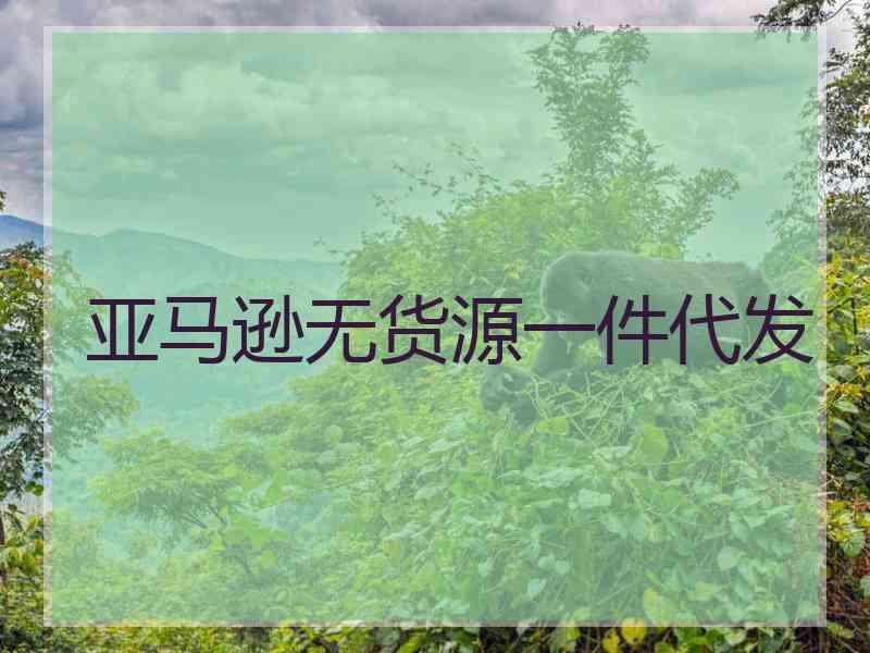 亚马逊无货源一件代发