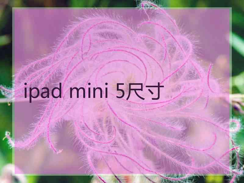 ipad mini 5尺寸