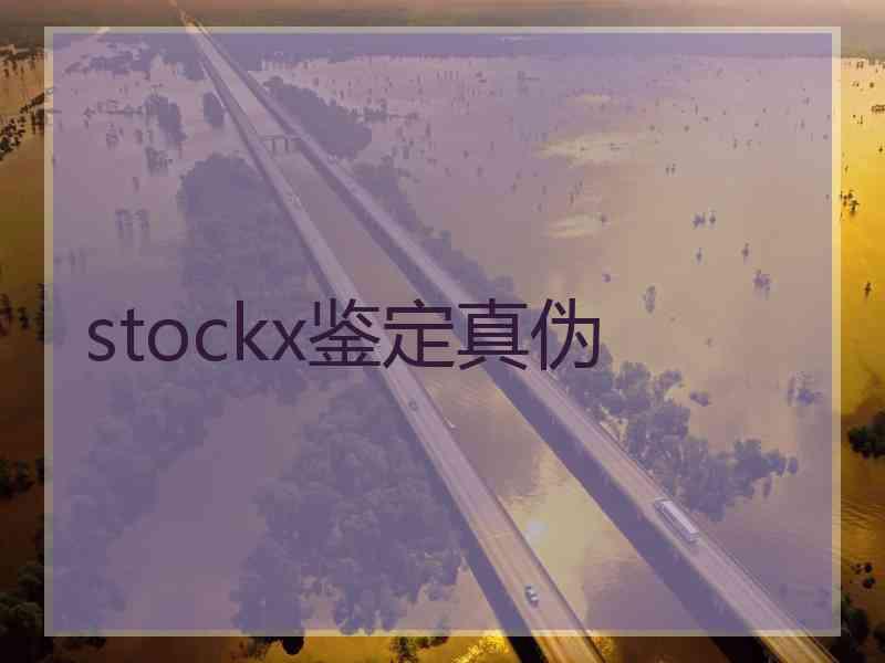 stockx鉴定真伪