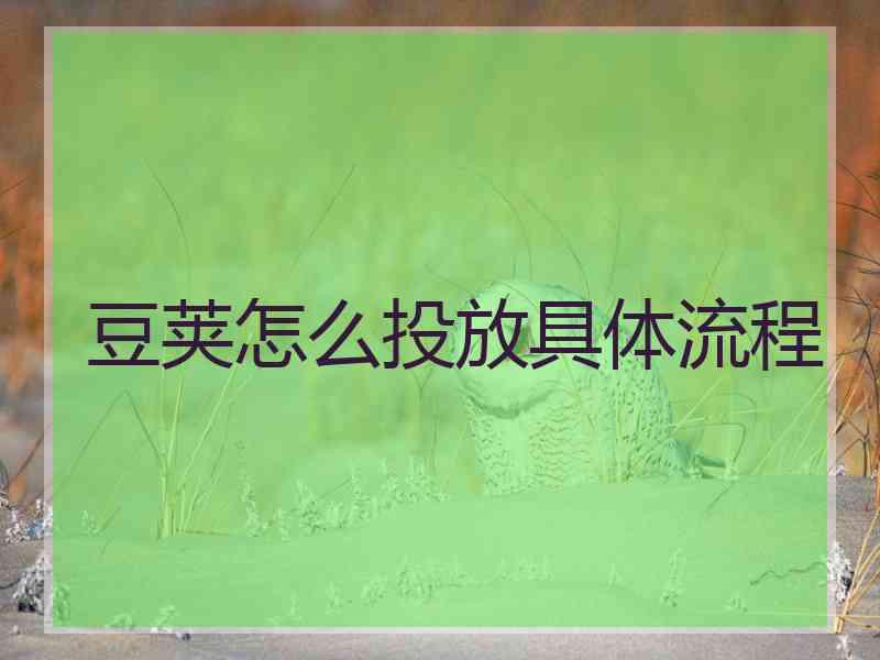 豆荚怎么投放具体流程