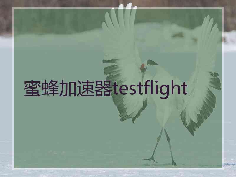 蜜蜂加速器testflight