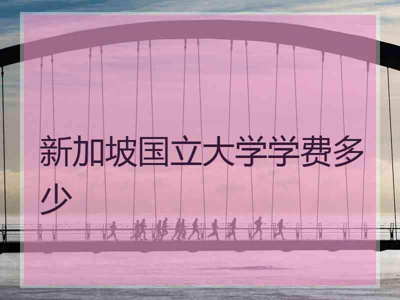 新加坡国立大学学费多少