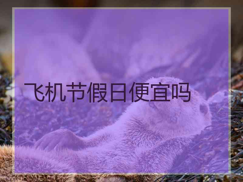 飞机节假日便宜吗