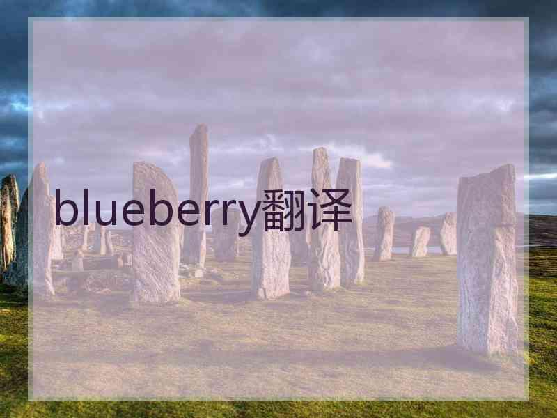 blueberry翻译