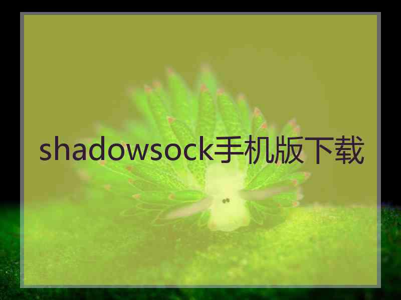 shadowsock手机版下载