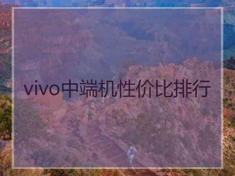 vivo中端机性价比排行
