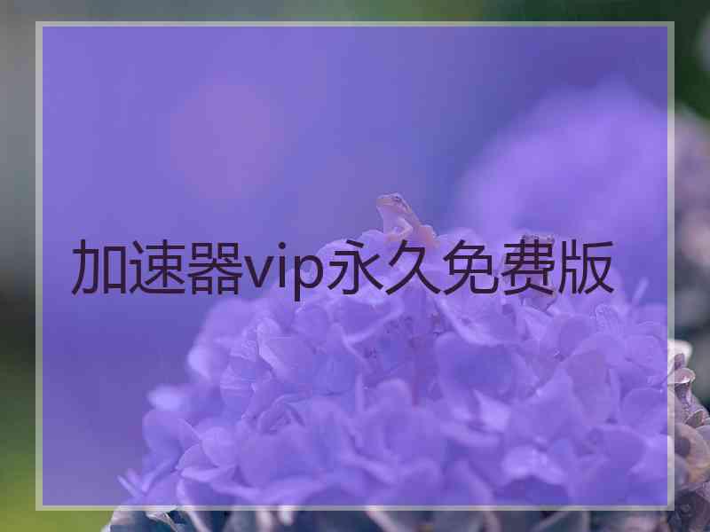加速器vip永久免费版