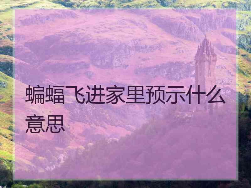 蝙蝠飞进家里预示什么意思