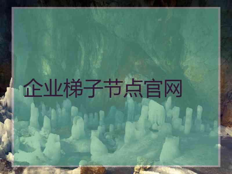 企业梯子节点官网